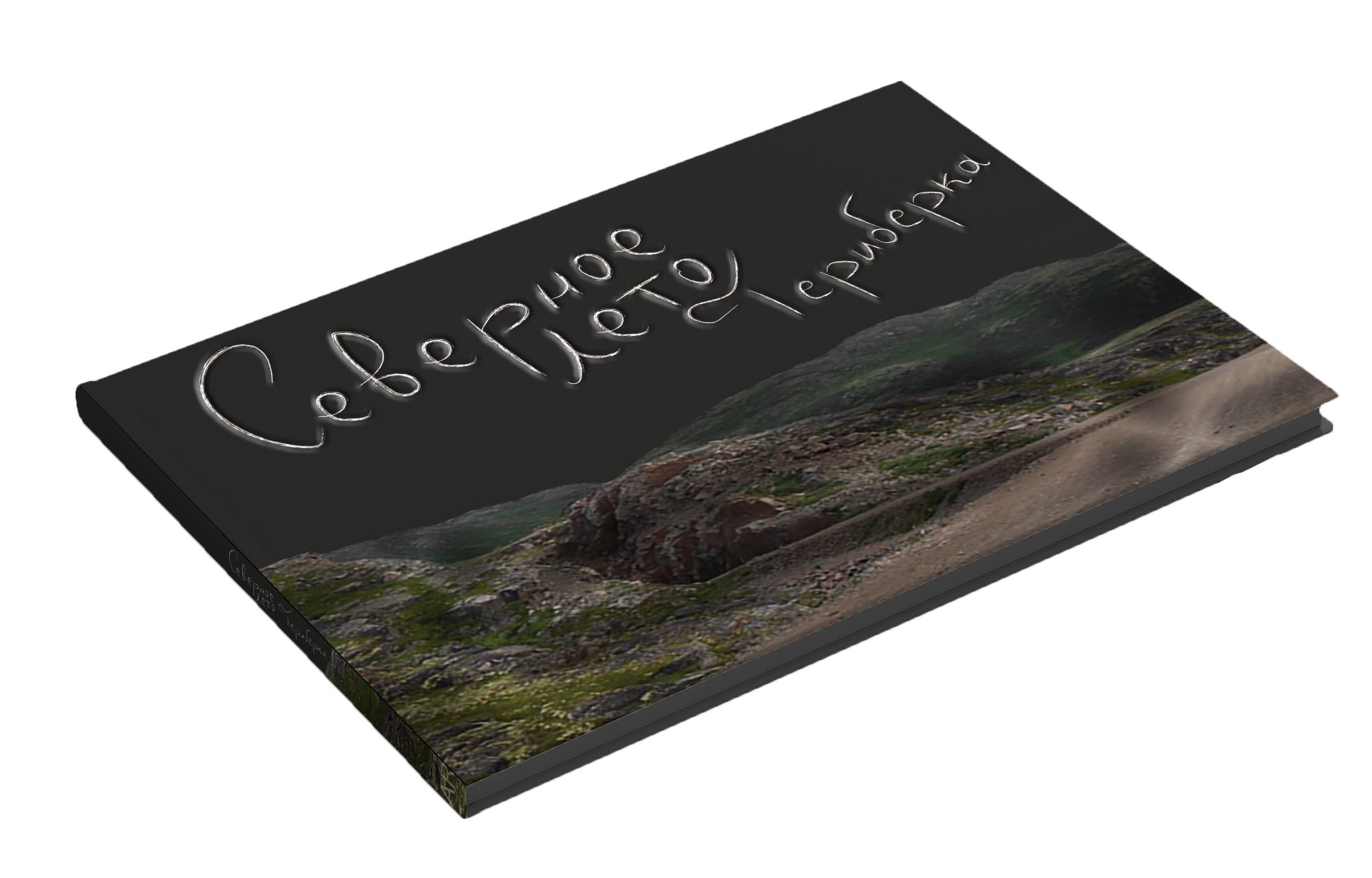 Проект Северное лето. Териберка